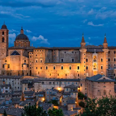 Elena's Urbino