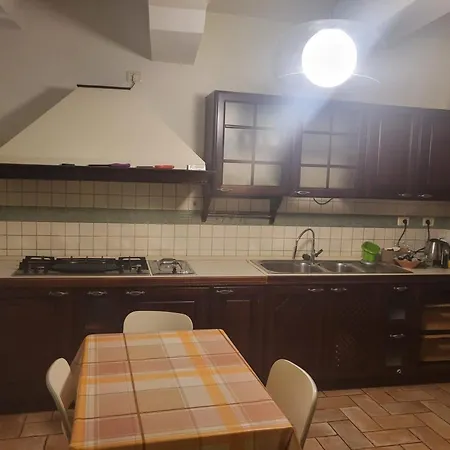 Elena's * Urbino